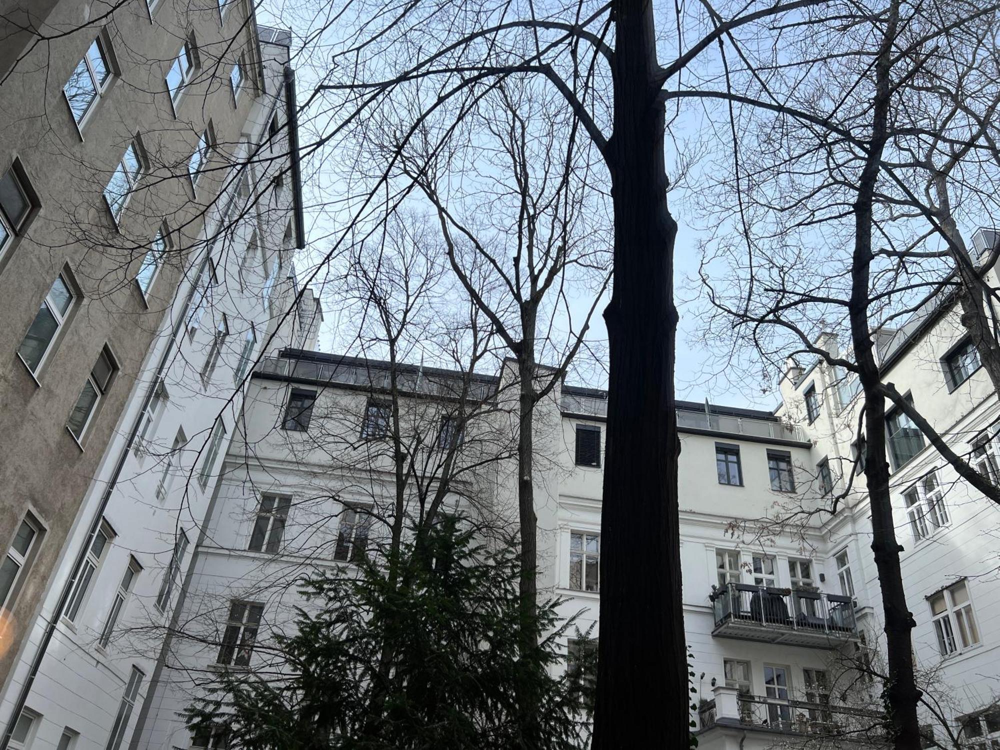 Central Loft Apartment Near Belvedere Castle Wien Eksteriør billede